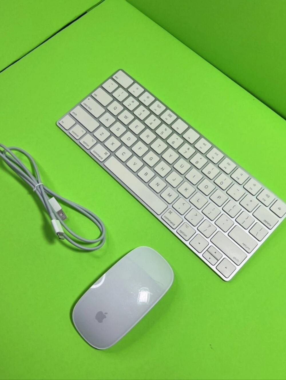 Apple Magic Keyboard 2 A2450 & Magic Mouse 2 A1657 Combo - With Cable Included